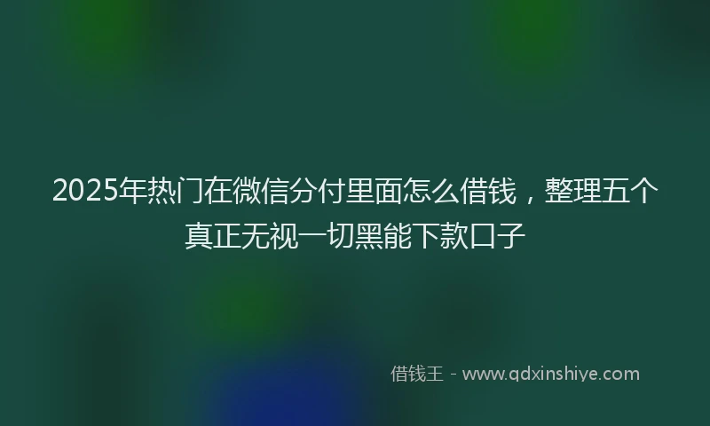 2025年热门在微信分付里面怎么借钱，整理五个真正无视一切黑能下款口子