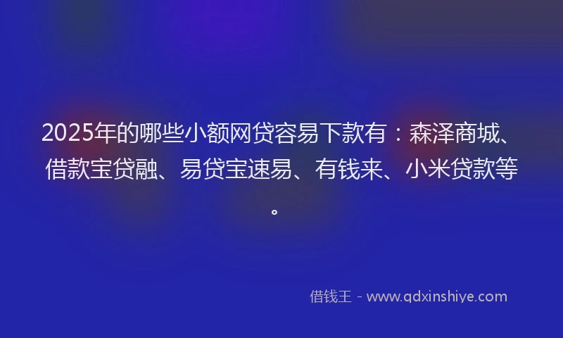 2025年的哪些小额网贷容易下款有：森泽商城、借款宝贷融、易贷宝速易、有钱来、小米贷款等。