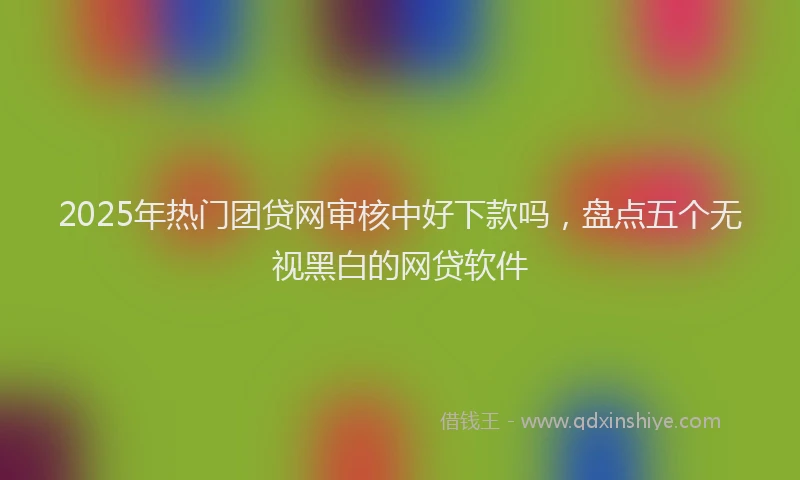 2025年热门团贷网审核中好下款吗，盘点五个无视黑白的网贷软件