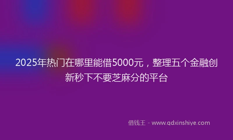 2025年热门在哪里能借5000元，整理五个金融创新秒下不要芝麻分的平台