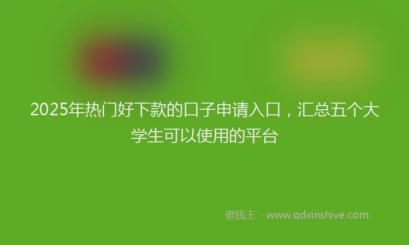 2025年热门好下款的口子申请入口，汇总五个大学生可以使用的平台