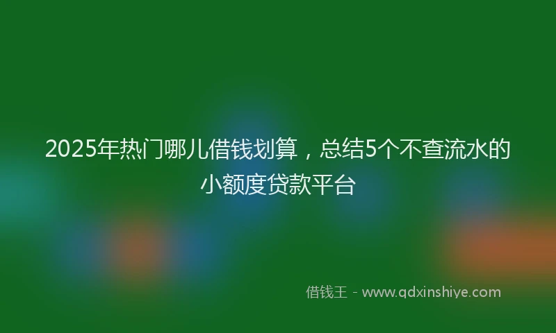 2025年热门哪儿借钱划算，总结5个不查流水的小额度贷款平台