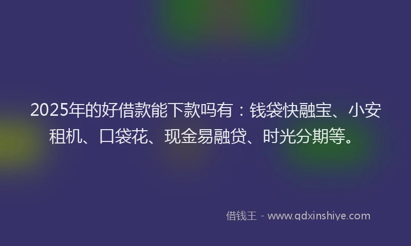 2025年的好借款能下款吗有：钱袋快融宝、小安租机、口袋花、现金易融贷、时光分期等。