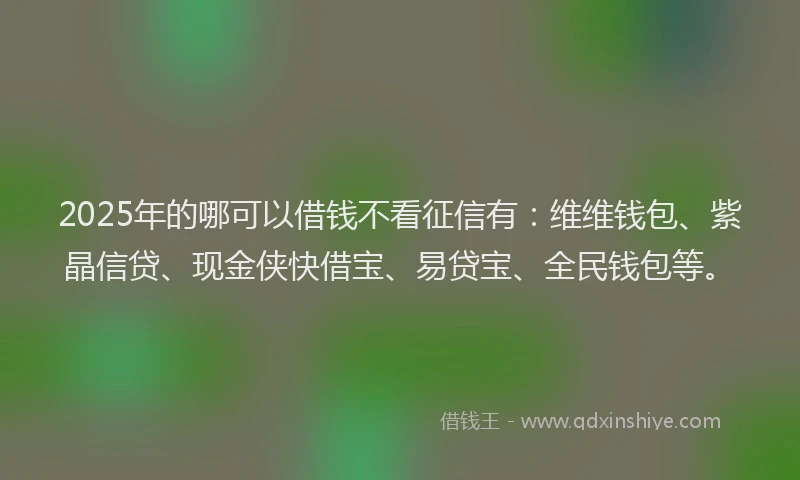 2025年的哪可以借钱不看征信有：维维钱包、紫晶信贷、现金侠快借宝、易贷宝、全民钱包等。