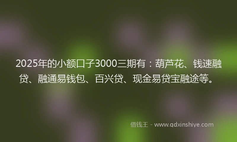 2025年的小额口子3000三期有：葫芦花、钱速融贷、融通易钱包、百兴贷、现金易贷宝融途等。