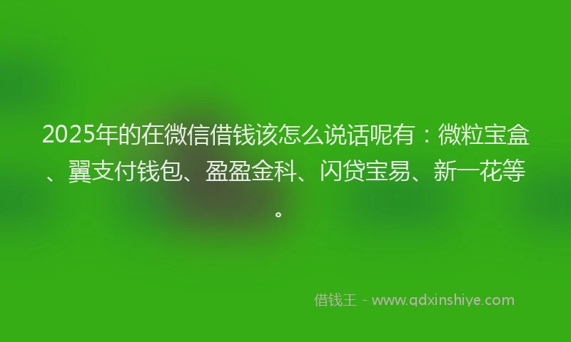2025年的在微信借钱该怎么说话呢有：微粒宝盒、翼支付钱包、盈盈金科、闪贷宝易、新一花等。