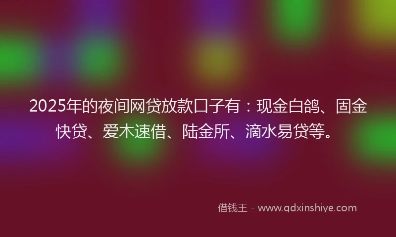 2025年的夜间网贷放款口子有：现金白鸽、固金快贷、爱木速借、陆金所、滴水易贷等。