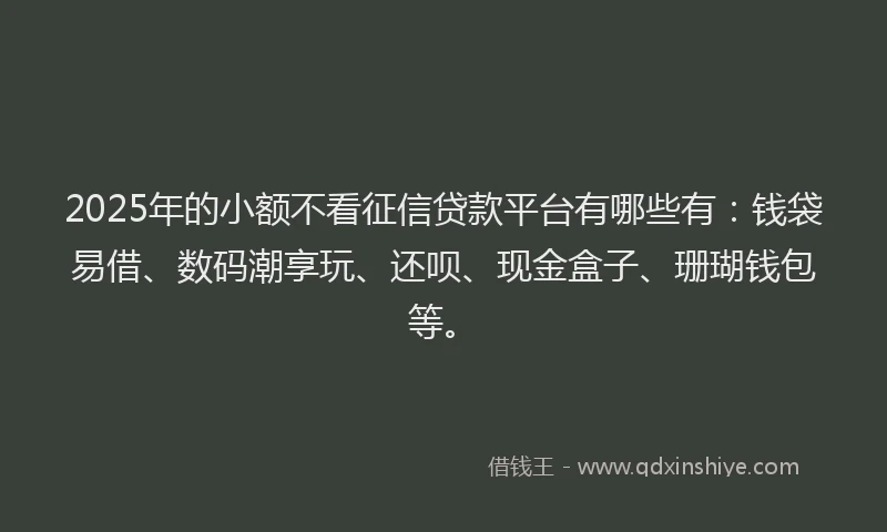 2025年的小额不看征信贷款平台有哪些有：钱袋易借、数码潮享玩、还呗、现金盒子、珊瑚钱包等。