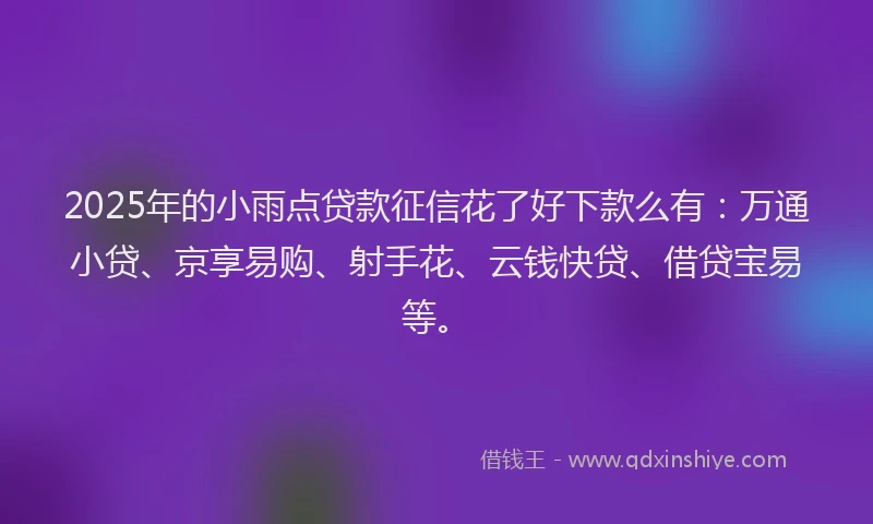 2025年的小雨点贷款征信花了好下款么有：万通小贷、京享易购、射手花、云钱快贷、借贷宝易等。