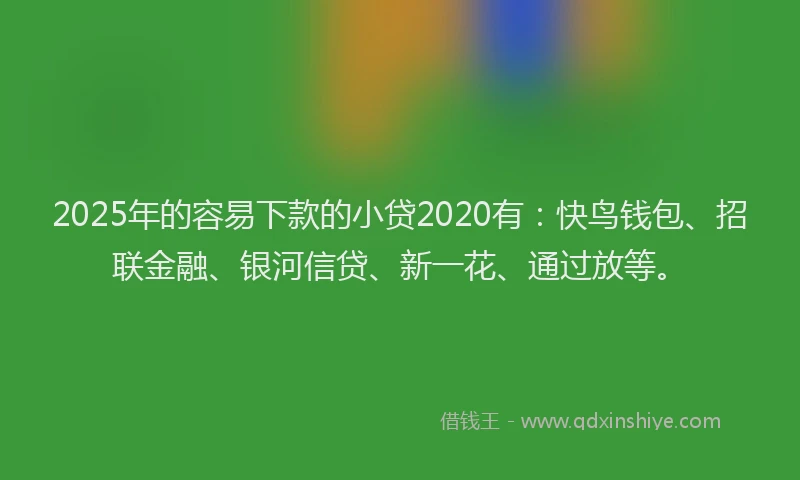 2025年的容易下款的小贷2020有：快鸟钱包、招联金融、银河信贷、新一花、通过放等。