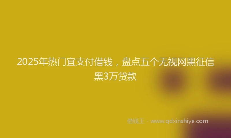 2025年热门宜支付借钱，盘点五个无视网黑征信黑3万贷款