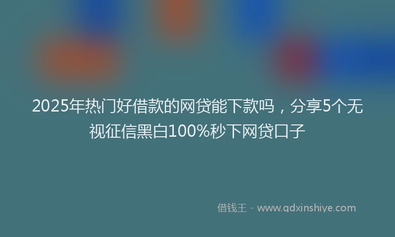 2025年热门好借款的网贷能下款吗，分享5个无视征信黑白100%秒下网贷口子