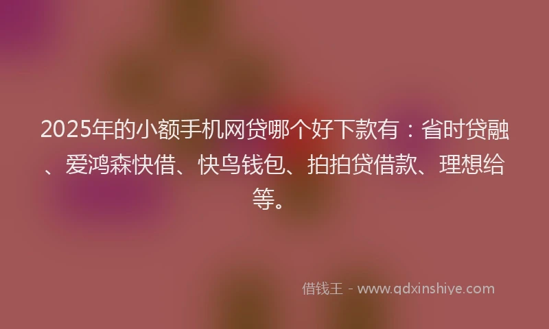2025年的小额手机网贷哪个好下款有：省时贷融、爱鸿森快借、快鸟钱包、拍拍贷借款、理想给等。