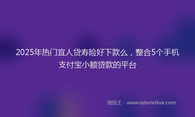 2025年热门宜人贷寿险好下款么，整合5个手机支付宝小额贷款的平台