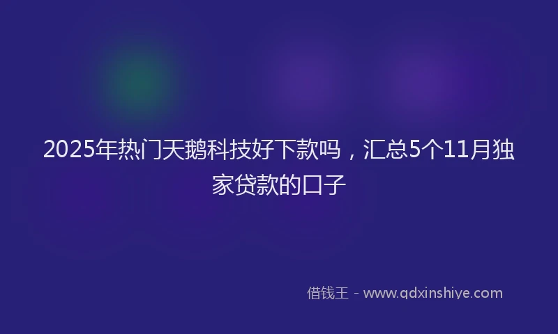 2025年热门天鹅科技好下款吗，汇总5个11月独家贷款的口子