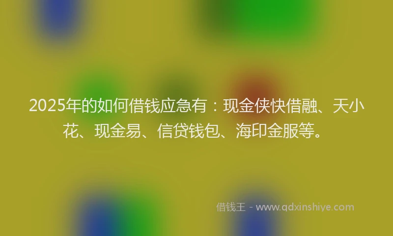 2025年的如何借钱应急有：现金侠快借融、天小花、现金易、信贷钱包、海印金服等。