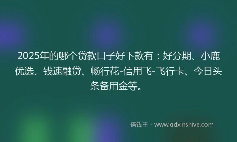 2025年的哪个贷款口子好下款有：好分期、小鹿优选、钱速融贷、畅行花-信用飞-飞行卡、今日头条备用金等。