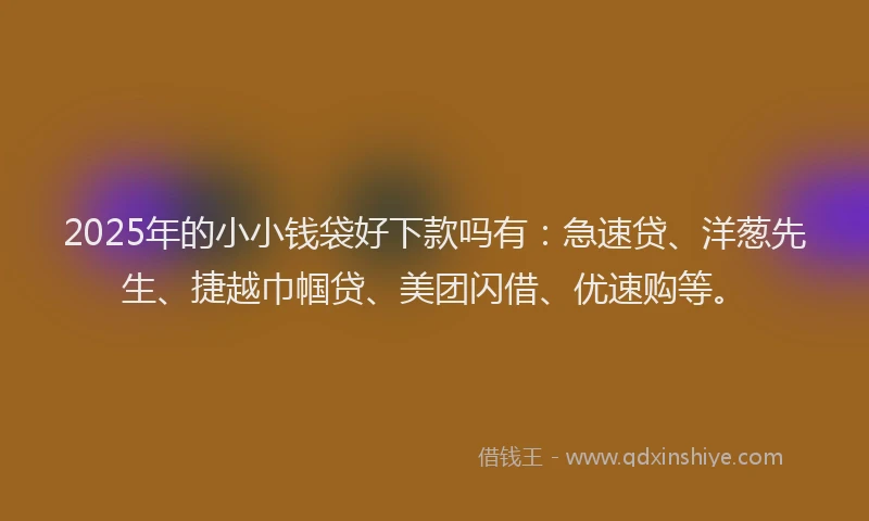 2025年的小小钱袋好下款吗有：急速贷、洋葱先生、捷越巾帼贷、美团闪借、优速购等。