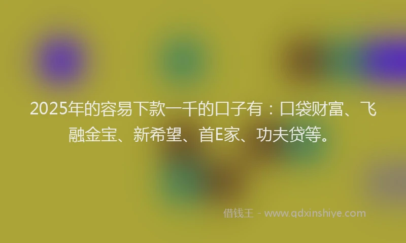 2025年的容易下款一千的口子有：口袋财富、飞融金宝、新希望、首E家、功夫贷等。