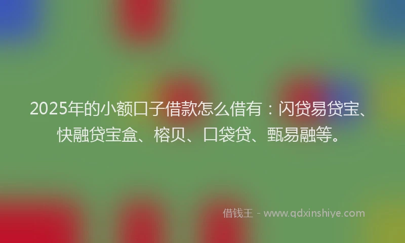 2025年的小额口子借款怎么借有：闪贷易贷宝、快融贷宝盒、榕贝、口袋贷、甄易融等。