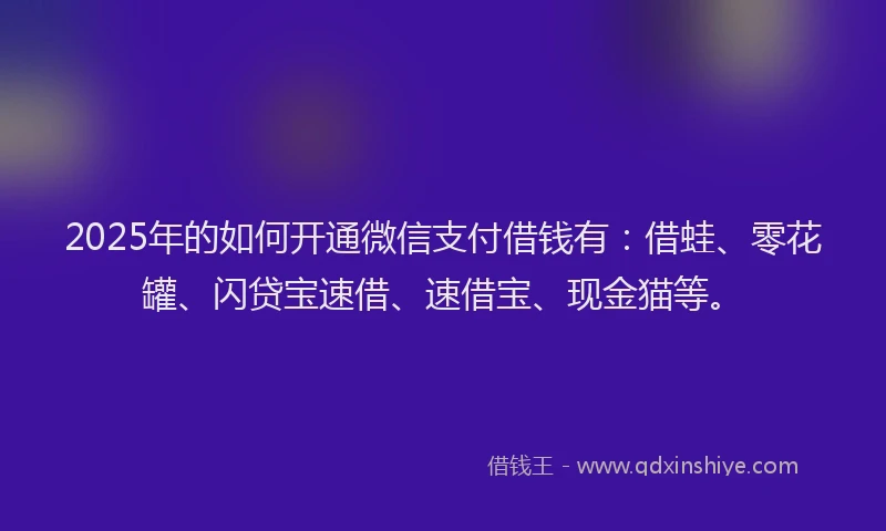 2025年的如何开通微信支付借钱有：借蛙、零花罐、闪贷宝速借、速借宝、现金猫等。