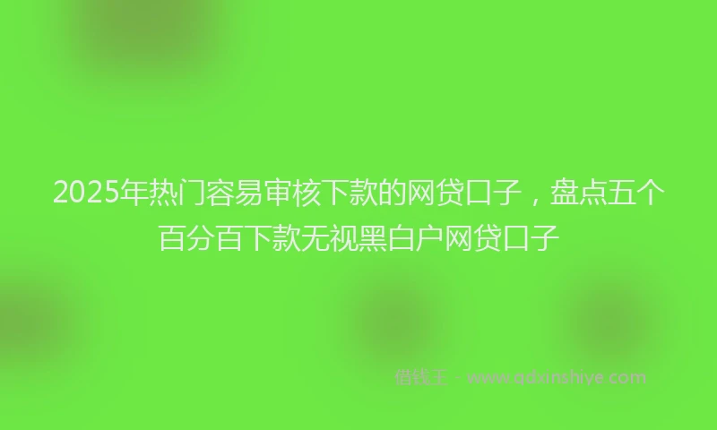2025年热门容易审核下款的网贷口子，盘点五个百分百下款无视黑白户网贷口子