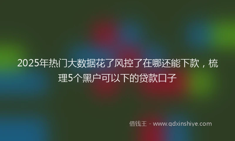 2025年热门大数据花了风控了在哪还能下款，梳理5个黑户可以下的贷款口子