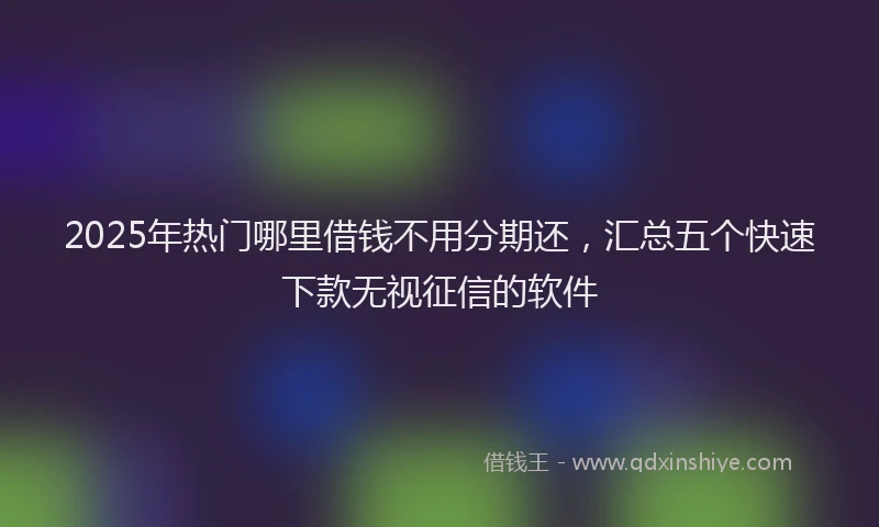 2025年热门哪里借钱不用分期还，汇总五个快速下款无视征信的软件