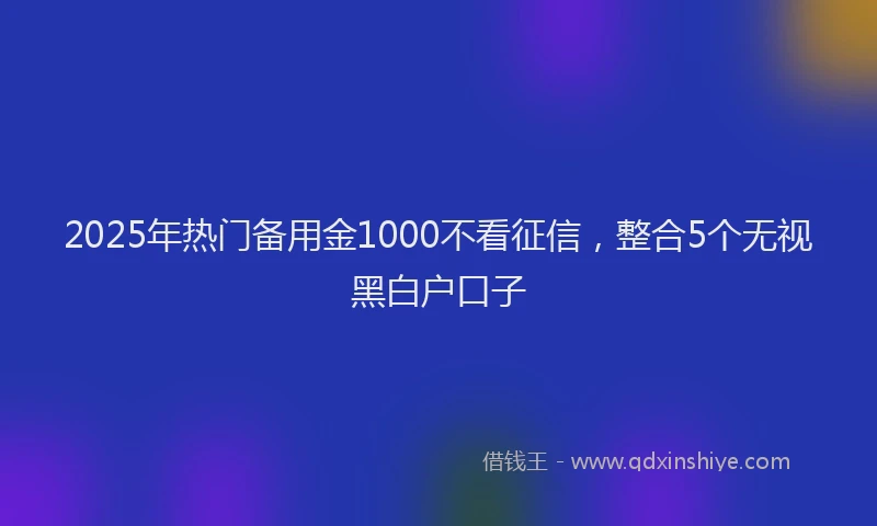 2025年热门备用金1000不看征信，整合5个无视黑白户口子