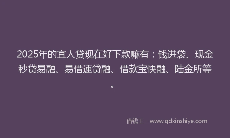 2025年的宜人贷现在好下款嘛有：钱进袋、现金秒贷易融、易借速贷融、借款宝快融、陆金所等。