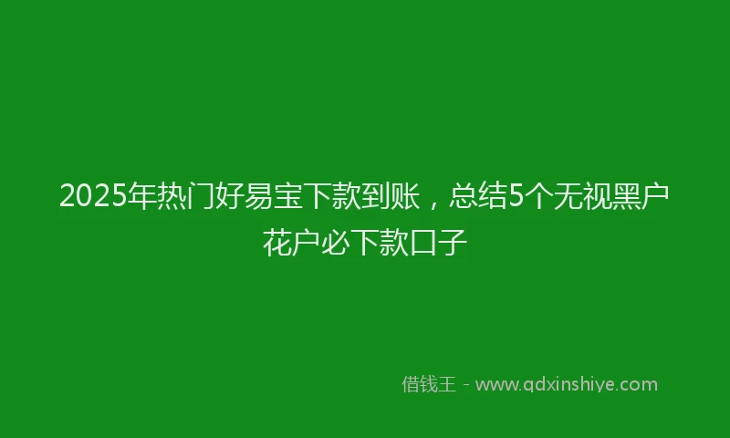 2025年热门好易宝下款到账，总结5个无视黑户花户必下款口子