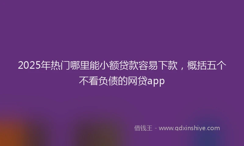 2025年热门哪里能小额贷款容易下款，概括五个不看负债的网贷app