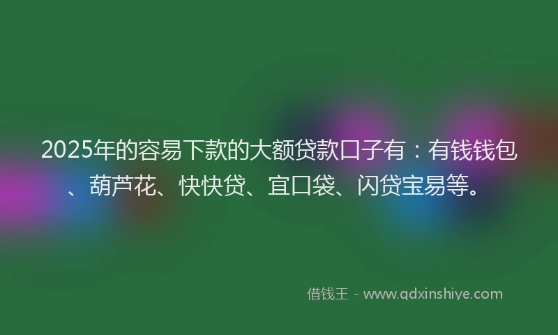 2025年的容易下款的大额贷款口子有：有钱钱包、葫芦花、快快贷、宜口袋、闪贷宝易等。