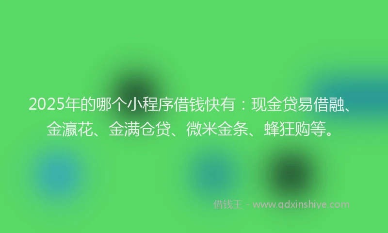 2025年的哪个小程序借钱快有：现金贷易借融、金瀛花、金满仓贷、微米金条、蜂狂购等。