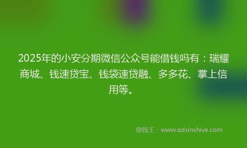 2025年的小安分期微信公众号能借钱吗有：瑞耀商城、钱速贷宝、钱袋速贷融、多多花、掌上信用等。