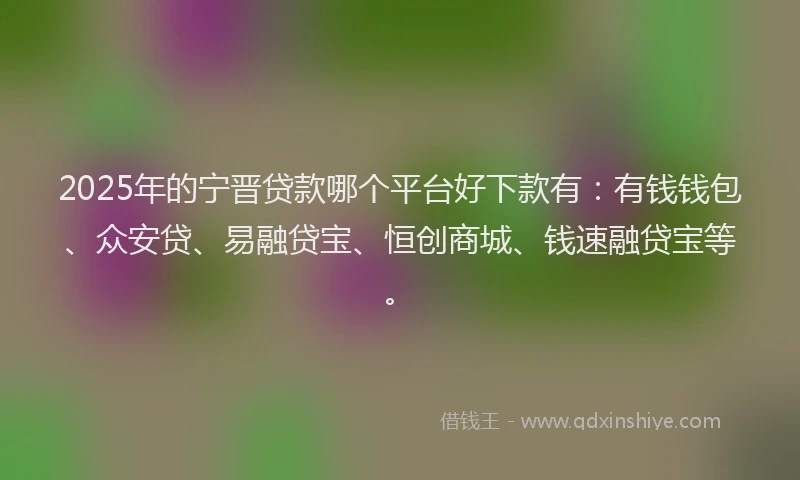 2025年的宁晋贷款哪个平台好下款有：有钱钱包、众安贷、易融贷宝、恒创商城、钱速融贷宝等。