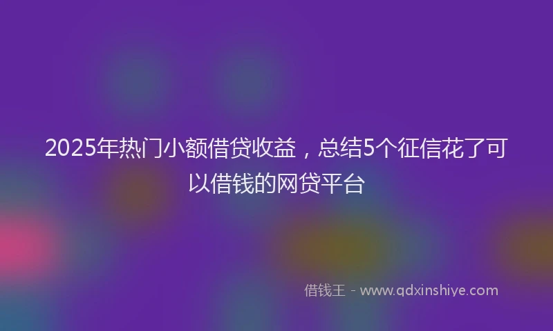 2025年热门小额借贷收益，总结5个征信花了可以借钱的网贷平台