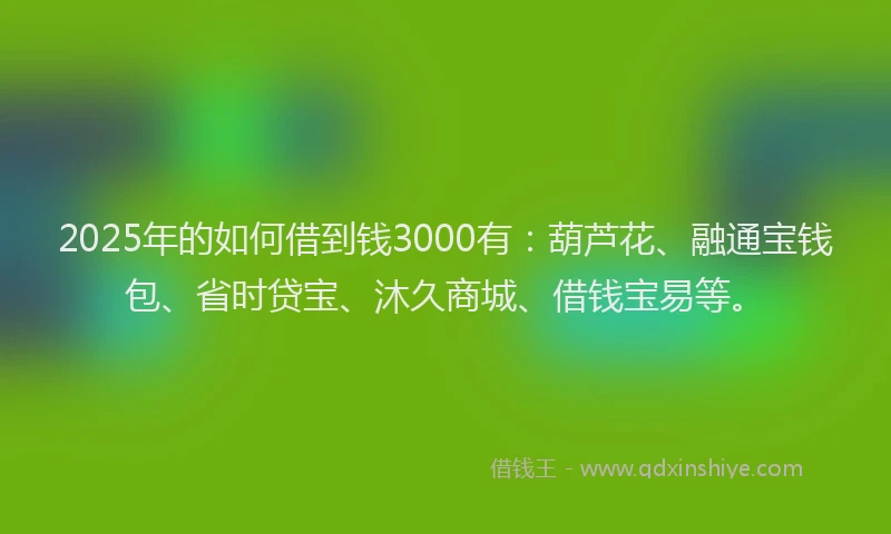 2025年的如何借到钱3000有：葫芦花、融通宝钱包、省时贷宝、沐久商城、借钱宝易等。