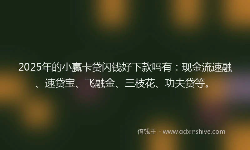 2025年的小赢卡贷闪钱好下款吗有：现金流速融、速贷宝、飞融金、三枝花、功夫贷等。