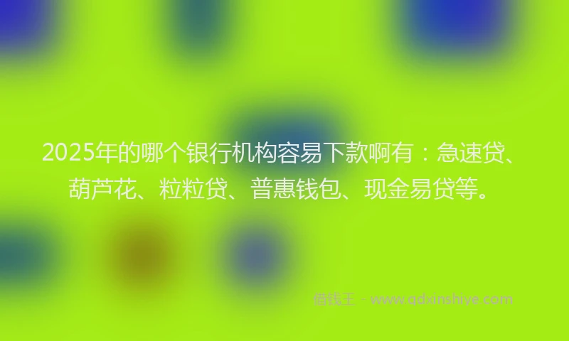 2025年的哪个银行机构容易下款啊有：急速贷、葫芦花、粒粒贷、普惠钱包、现金易贷等。