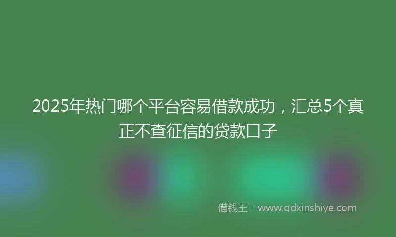 2025年热门哪个平台容易借款成功，汇总5个真正不查征信的贷款口子