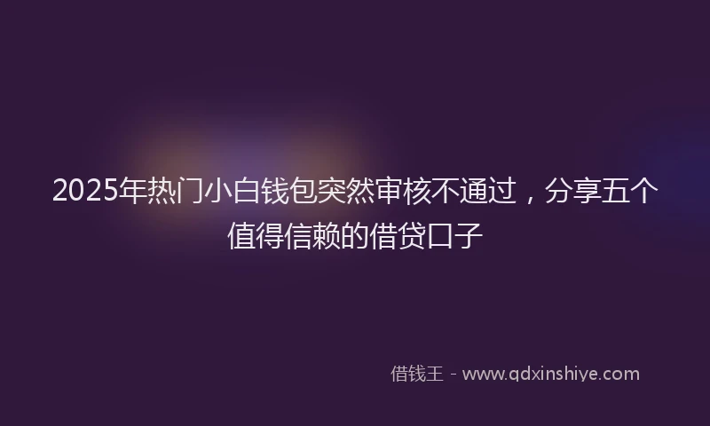 2025年热门小白钱包突然审核不通过,分享五个值得信赖的借贷口子