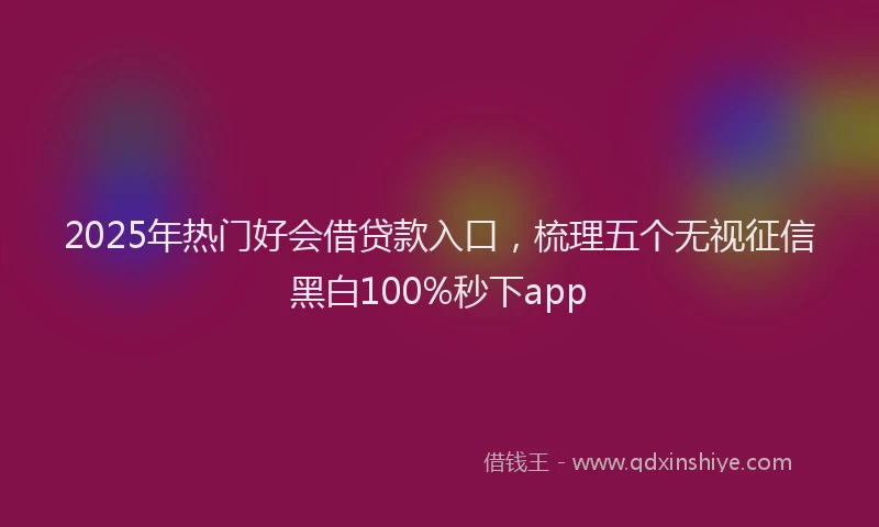 2025年热门好会借贷款入口,梳理五个无视征信黑白100%秒下app