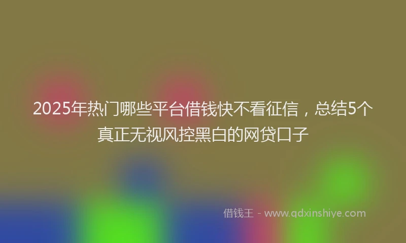 2025年热门哪些平台借钱快不看征信，总结5个真正无视风控黑白的网贷口子