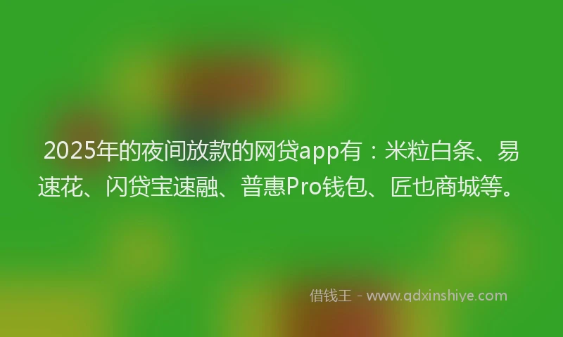 2025年的夜间放款的网贷app有：米粒白条、易速花、闪贷宝速融、普惠Pro钱包、匠也商城等。