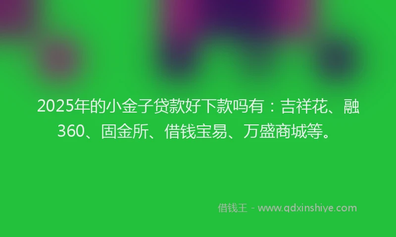 2025年的小金子贷款好下款吗有：吉祥花、融360、固金所、借钱宝易、万盛商城等。