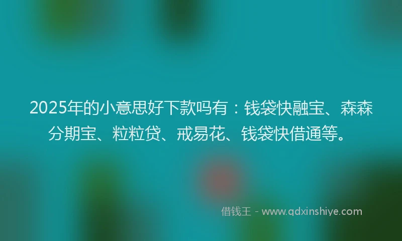 2025年的小意思好下款吗有：钱袋快融宝、森森分期宝、粒粒贷、戒易花、钱袋快借通等。