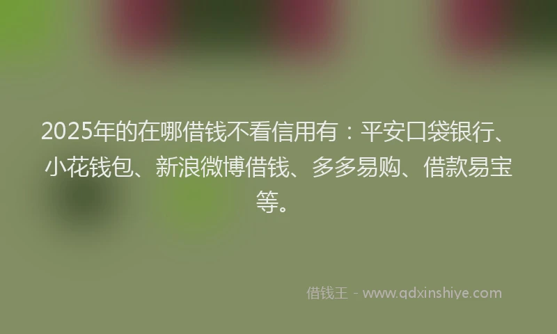 2025年的在哪借钱不看信用有：平安口袋银行、小花钱包、新浪微博借钱、多多易购、借款易宝等。