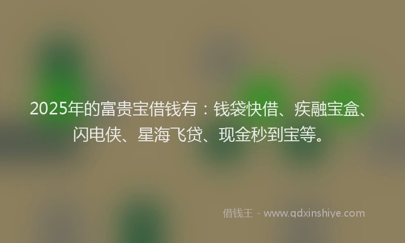 2025年的富贵宝借钱有：钱袋快借、疾融宝盒、闪电侠、星海飞贷、现金秒到宝等。