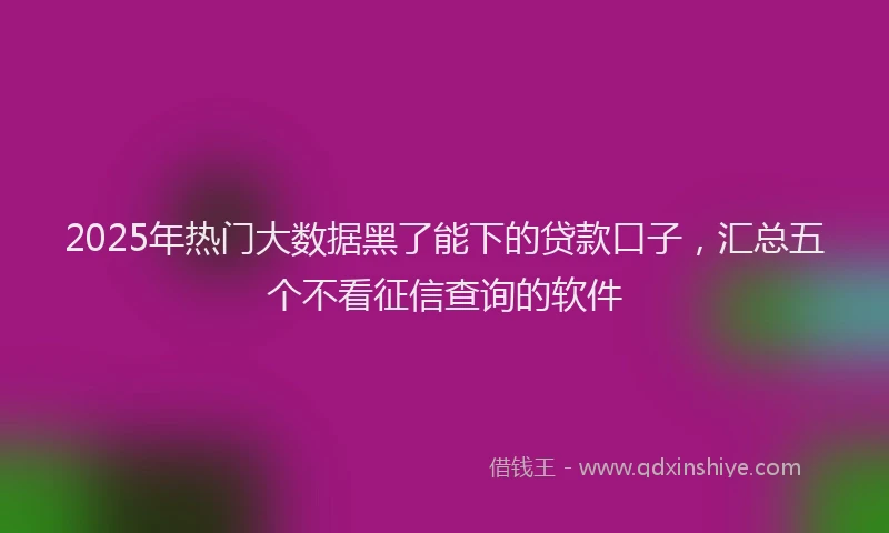 2025年热门大数据黑了能下的贷款口子，汇总五个不看征信查询的软件